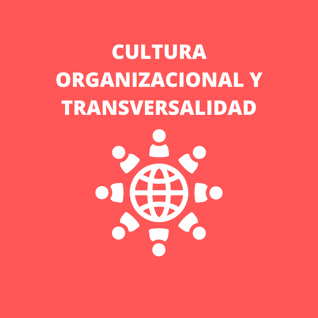 7. Cultura organizacional