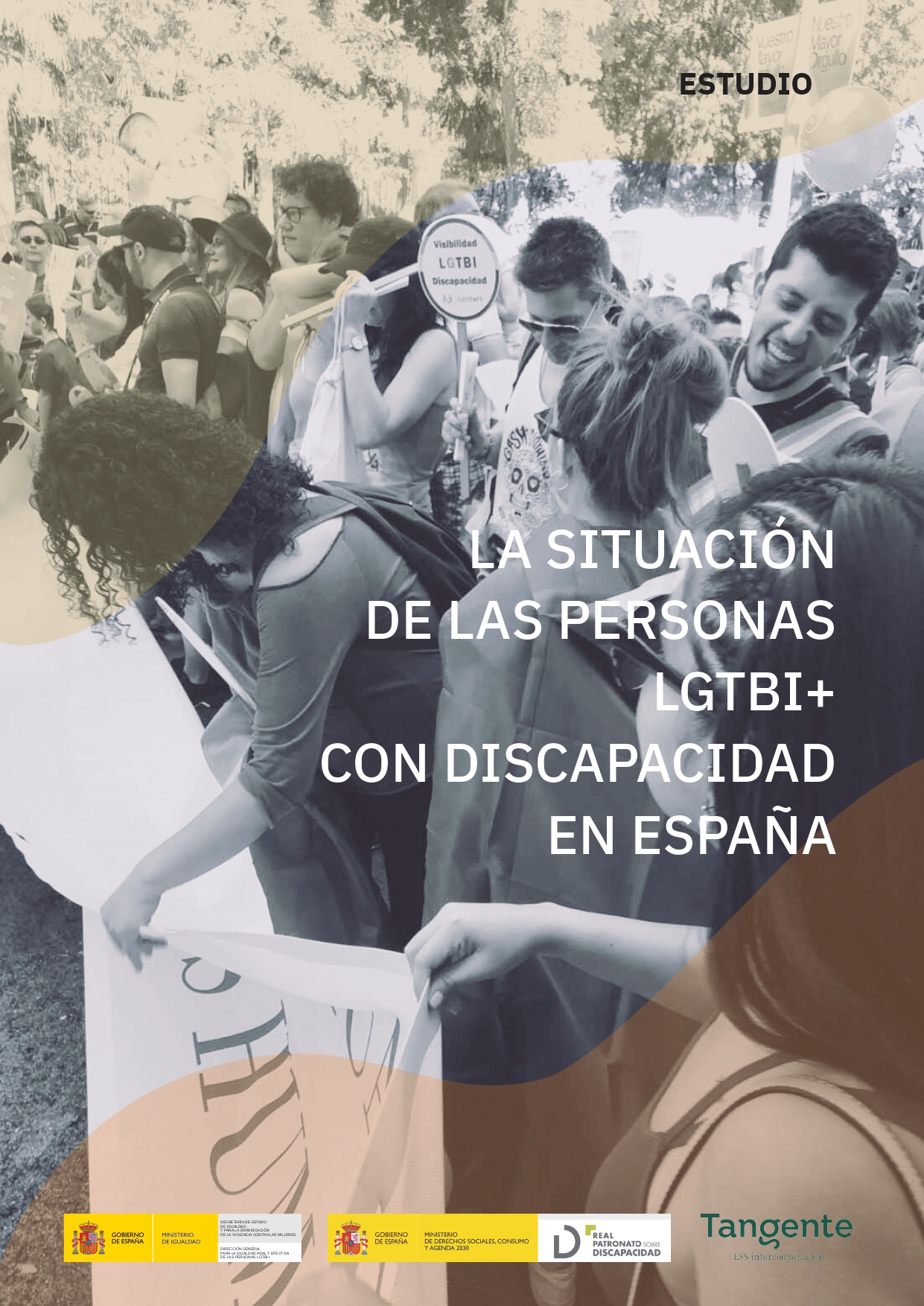 Nuevo estudio destaca la discriminación laboral de personas LGTBI+ con discapacidad en España.